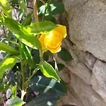 And Stone House Apartman Split